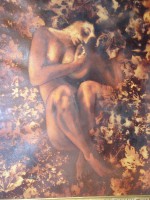 /album/galleria-foto-galleria-fotografica1/a1-009-jpg/